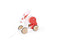 Hape Push and Pull Bunny Wooden Pull Along Toy