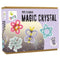 Pipe Cleaner Magic Crystal