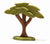 Ostheimer African Tree with support