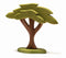 Ostheimer African Tree with support