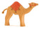 Dromedary with Saddle