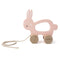 Trixie:Wooden pull along toy - Mrs. Rabbit