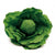 Lettuce - www.toybox.ae