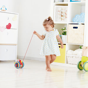 Hape Baby Bird Pull Along - www.toybox.ae