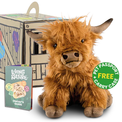 HIGHLAND COW LARGE WITH SOUND